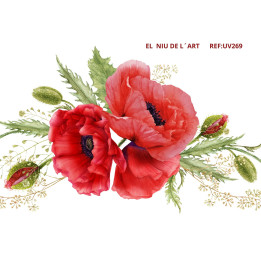 copy of 